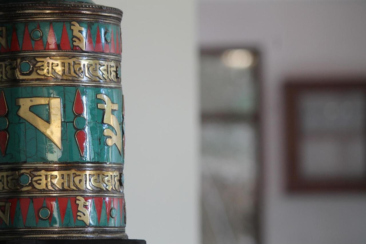Junglaat Stays & Experiences Dharamshala Exterior foto