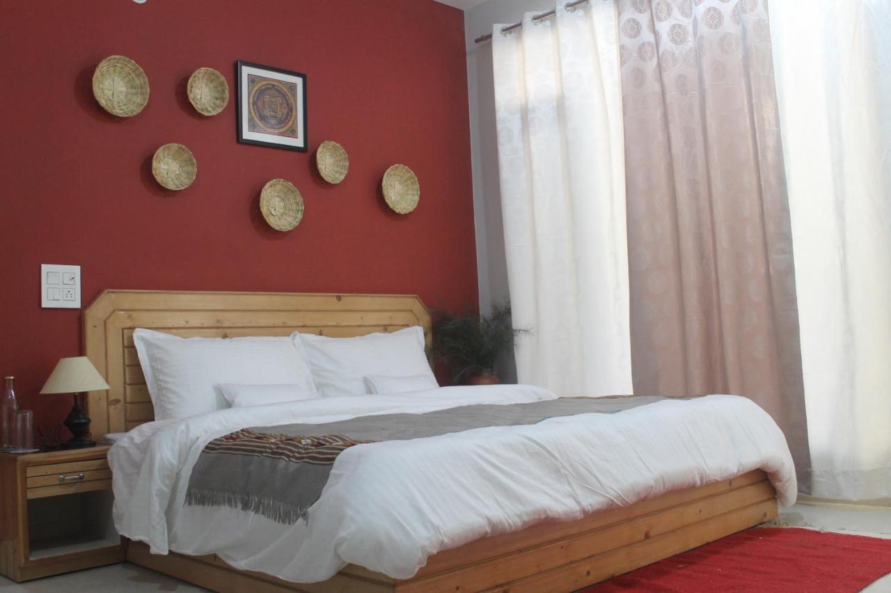 Junglaat Stays & Experiences Dharamshala Exterior foto