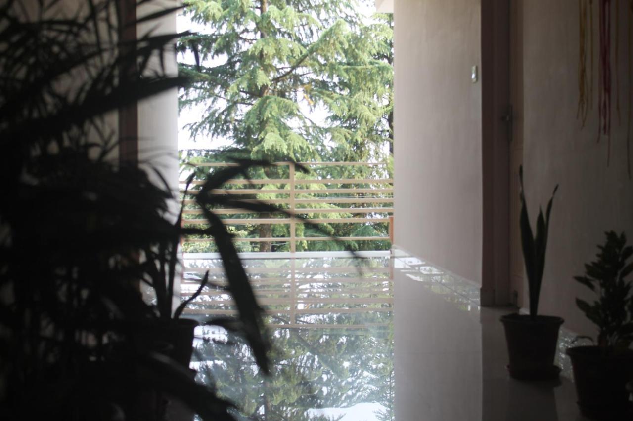 Junglaat Stays & Experiences Dharamshala Exterior foto